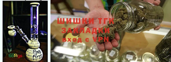 PSILOCYBIN Балабаново