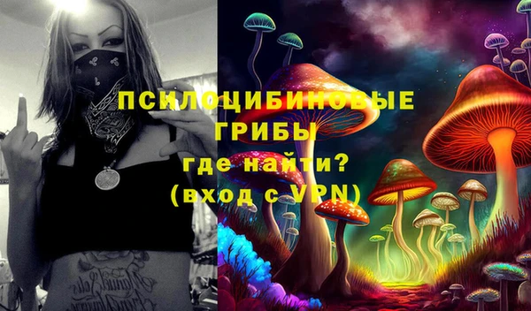 PSILOCYBIN Балабаново