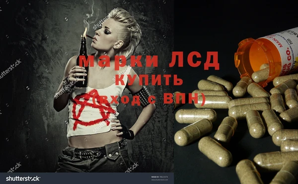 PSILOCYBIN Балабаново