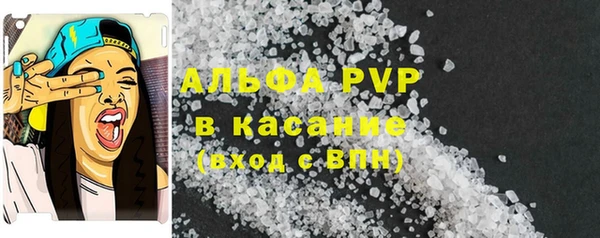 PSILOCYBIN Балабаново