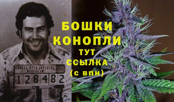 PSILOCYBIN Балабаново