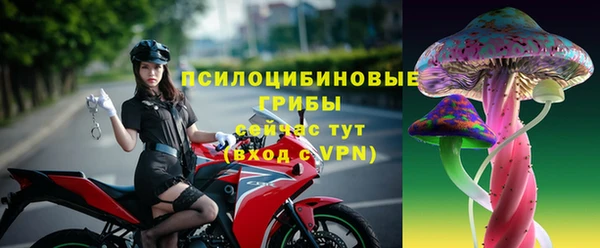 PSILOCYBIN Балабаново