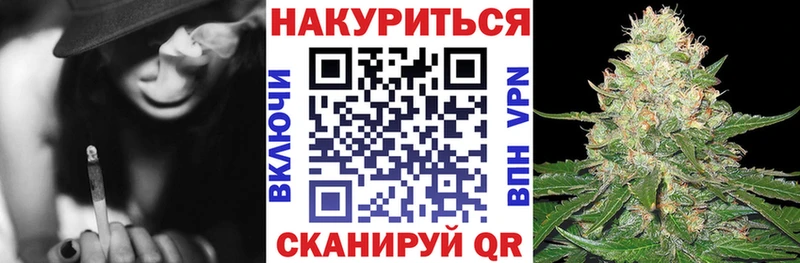 Конопля сатива  Лакинск 